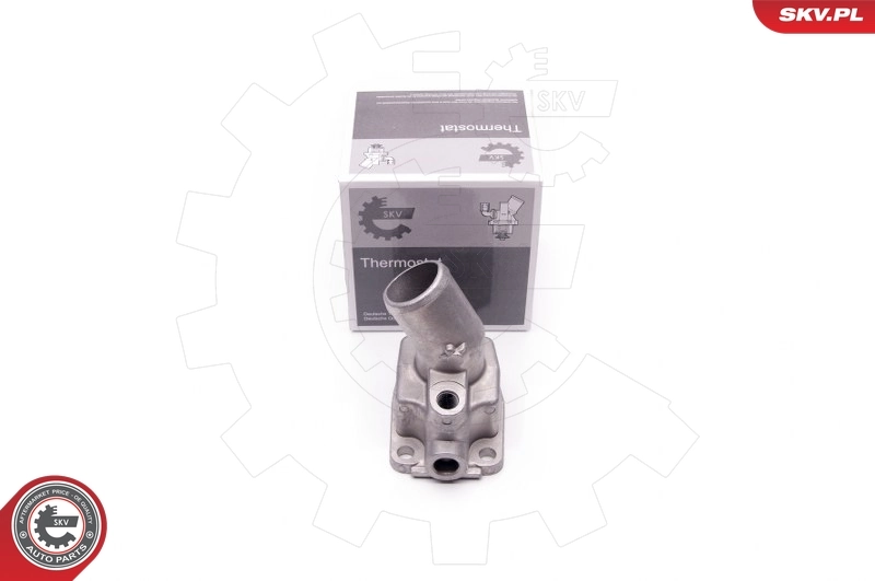 Thermostat, coolant